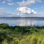 IMG_20240612_174424