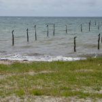 IMG_20240613_101540