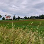 IMG_20240616_115529