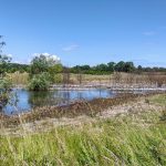 IMG_20240616_132203