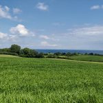 IMG_20240618_143002