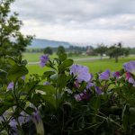 PXL_20250616_053946910
