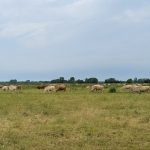 IMG_20260621_112549-0199