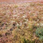 IMG_20260621_113844-0197