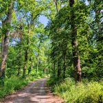 IMG_20260622_100020-0185