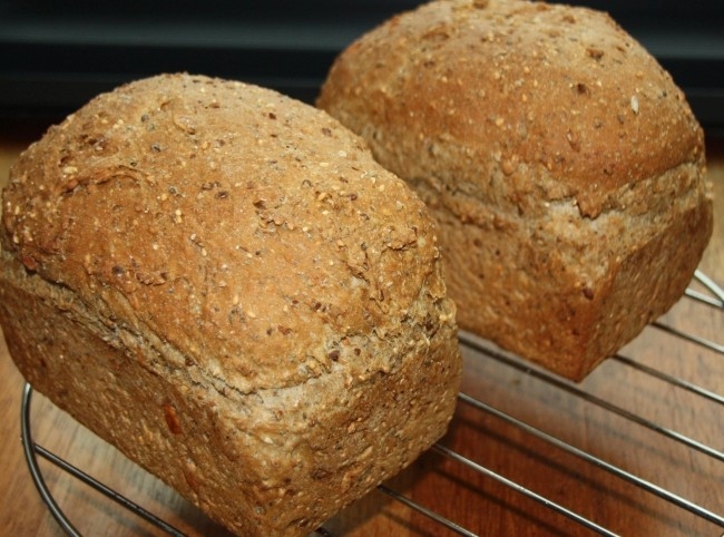 Bruin Brood