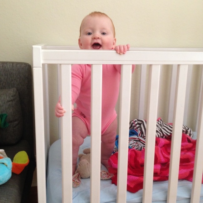IMG-20151113-WA0000
