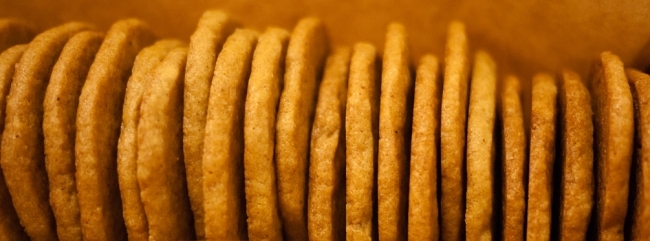 Speculoos